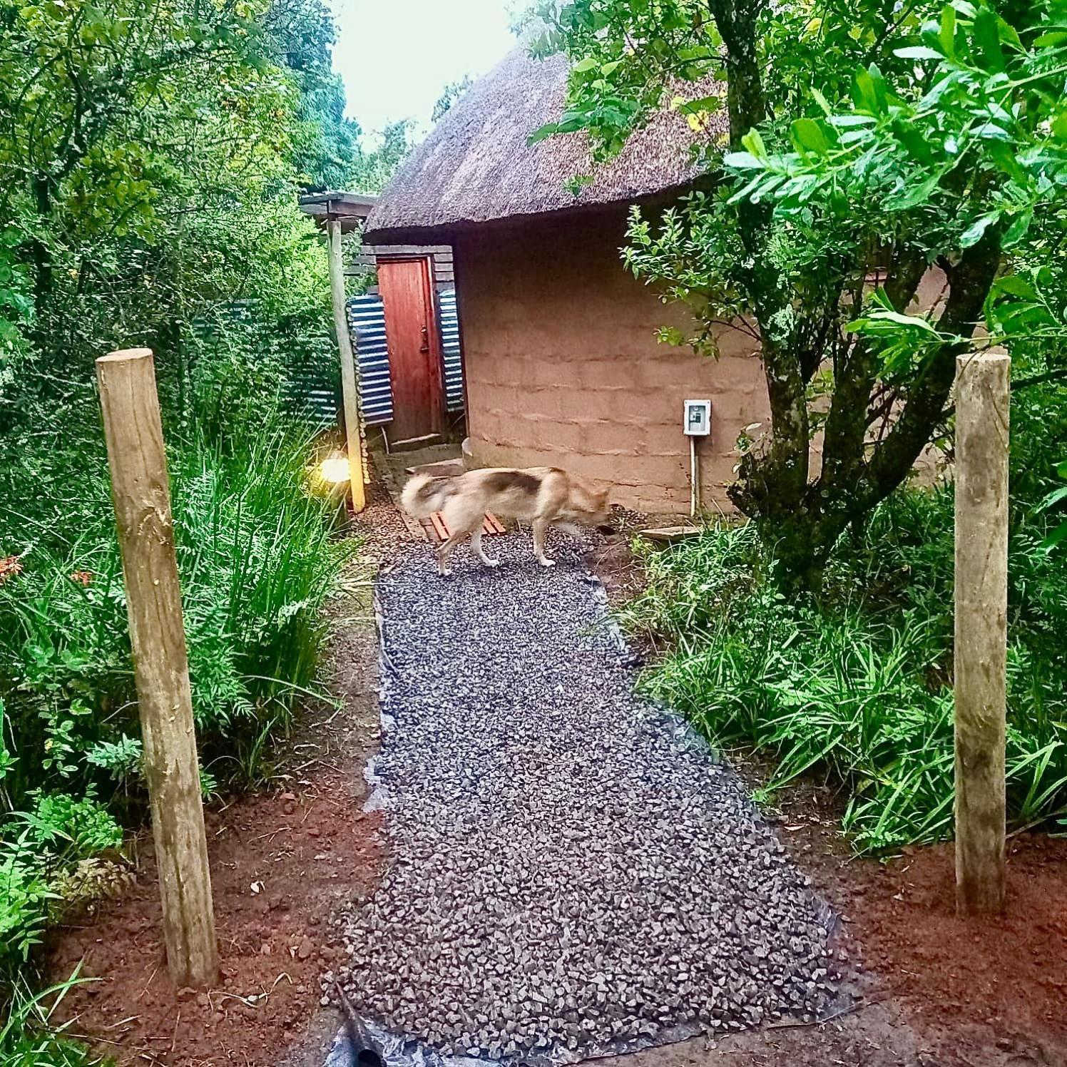Drakensberg Inkosana Lodge Champagne Valley Eksteriør billede